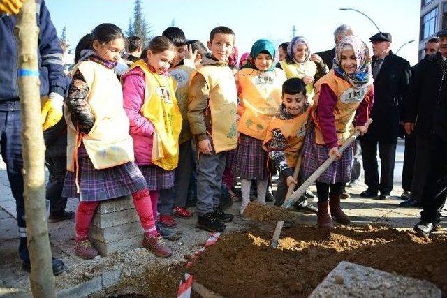 Erbaa Belediyesi 600 Ağaç Dikti