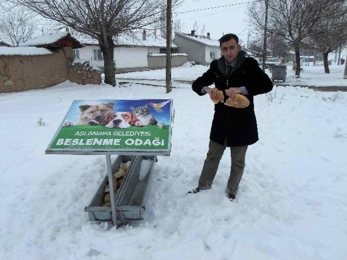 Aslanapa Belediyesi&rsquo;nden Sokak Hayvanlarına Su Ve Yiyecek Desteği