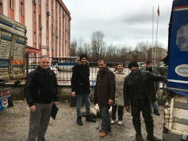 Kastamonu Cide’de Çiftçilere 18 Adet Sığır Hibe Edildi