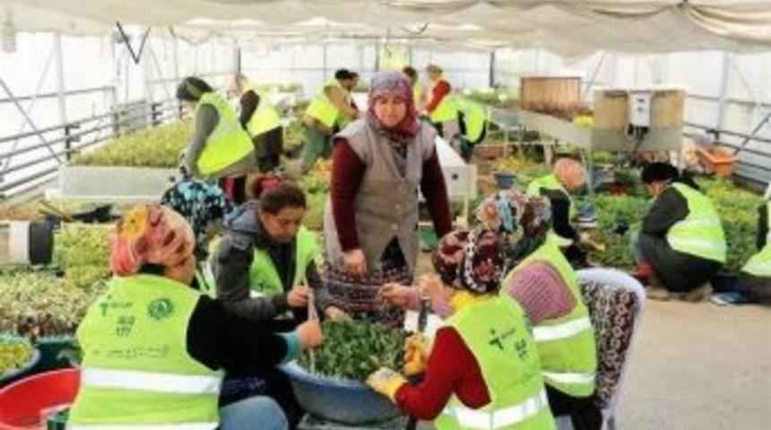 Zonguldak&rsquo;ta 2.5 Milyon Fidan Toprakla Buluşuyor