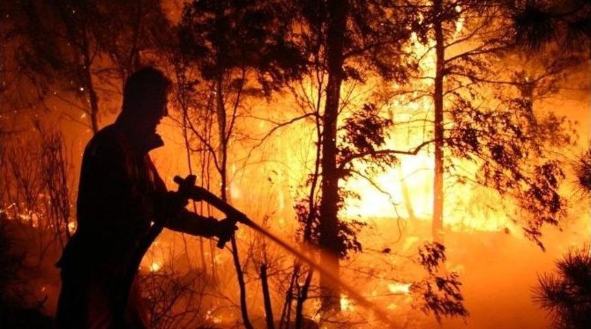 Aydın&rsquo;da Orman Yangını