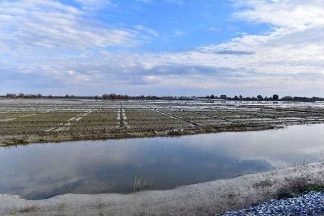 Vali Çakacak, Sel Suları Altında Kalan Tarım Arazilerini İnceledi