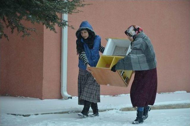 (özel Haber) Sokak Hayvanları İçin Seferber Oluyorlar