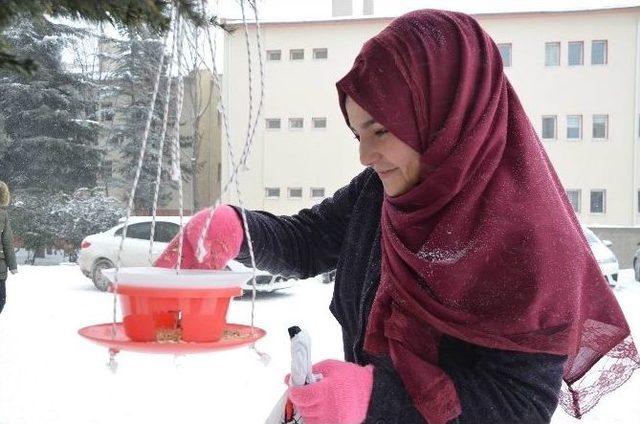 (özel Haber) Sokak Hayvanları İçin Seferber Oluyorlar