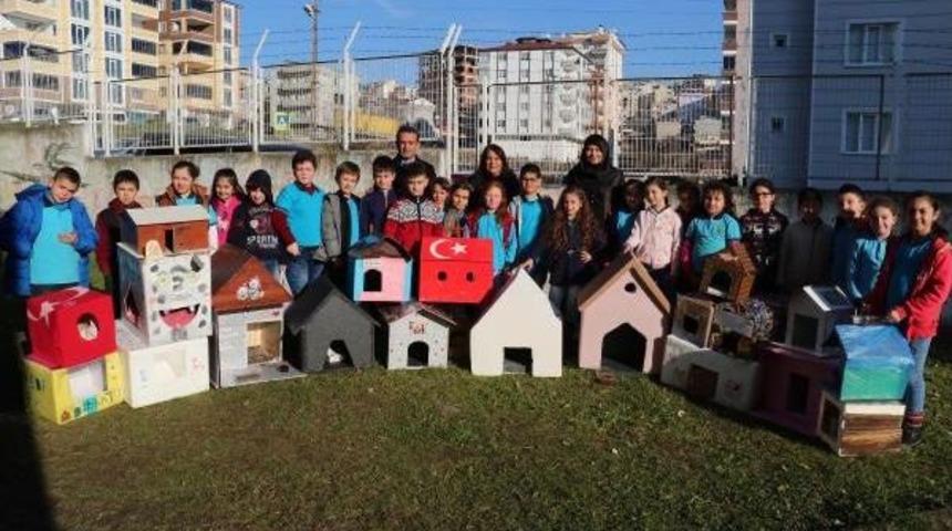 Öğrenciler Sokak Kedileri Için Ev Yaptı