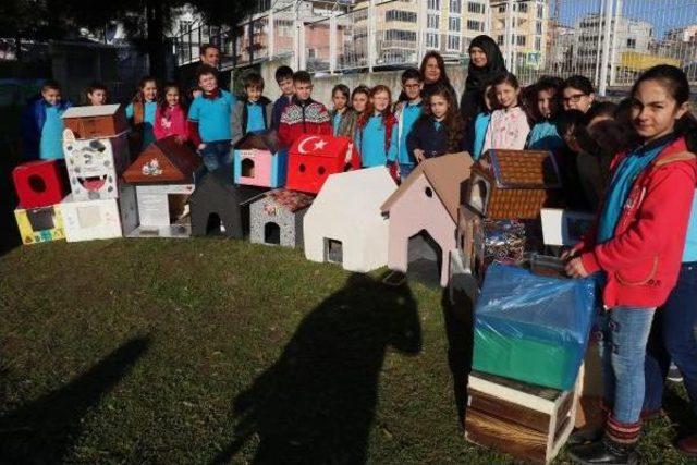 Öğrenciler Sokak Kedileri Için Ev Yaptı