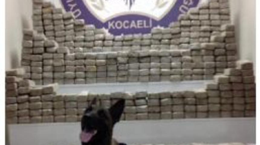 İzmit'te 398 Kilo Esrar Ele Ge&ccedil;irildi