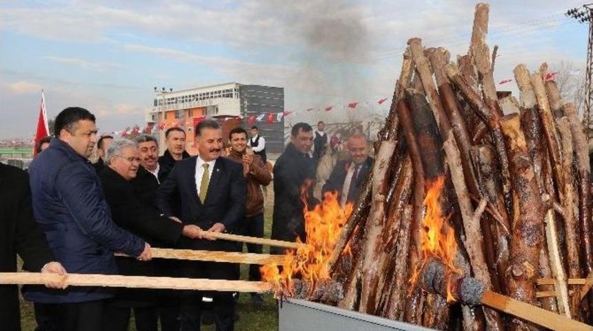 Mersin&rsquo;de Cirit G&ouml;sterisi Nefes Kesti