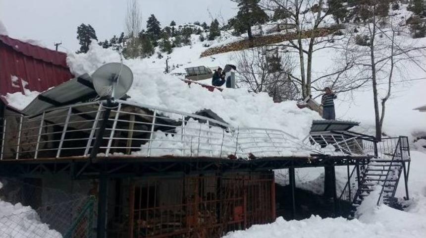 Mersin&rsquo;de Baraka Kardan &Ccedil;&ouml;kt&uuml;