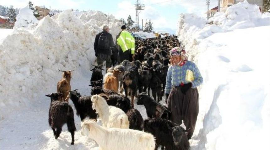 Yaylada Mahsur Kalan Aile Kurtarıldı