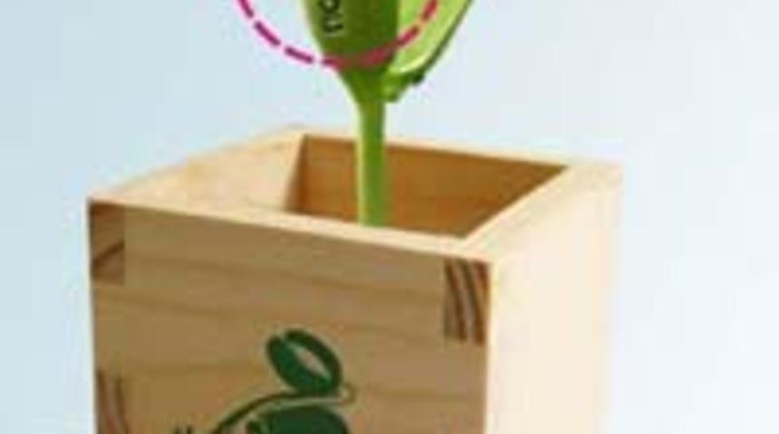 Aşkınızı Anlatan Sihirli Fasulyeler