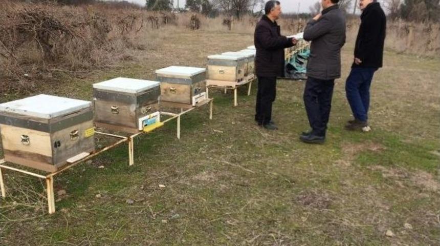 Belediyeden Arı &Uuml;reticilerine Denetim