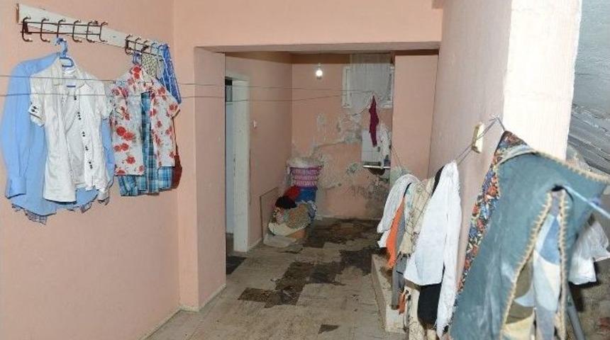 &Ccedil;&ouml;p Evdeki Kedilere Belediye Şefkati