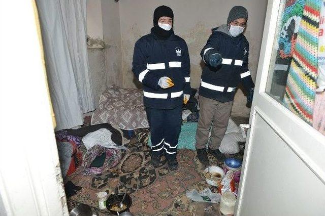 &Ccedil;&ouml;p Evdeki Kedilere Belediye Şefkati 2