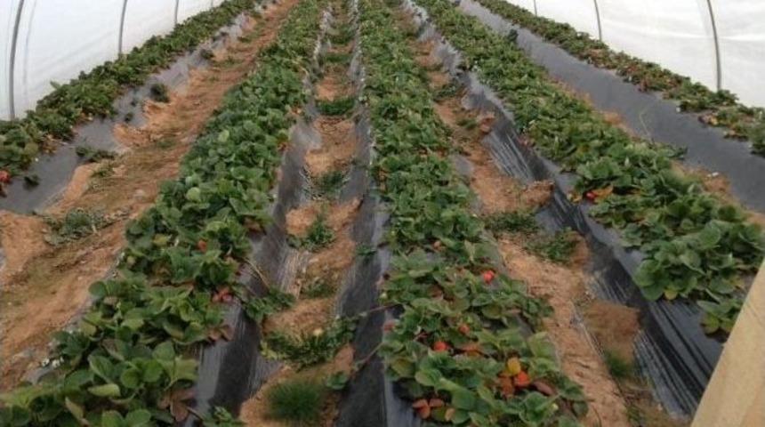 Belediye Destek Verdi &Uuml;retim Arttı