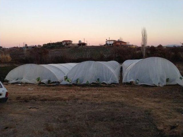 Belediye Destek Verdi &Uuml;retim Arttı 1