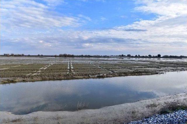 Mersin’de Sel Felaketinin Yaraları Sarılmaya Çalışılıyor