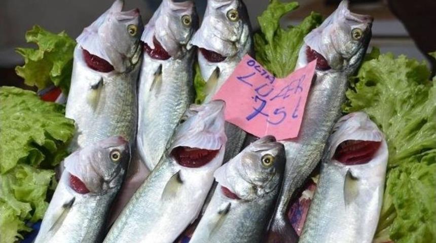 L&uuml;fer El Yakıyor