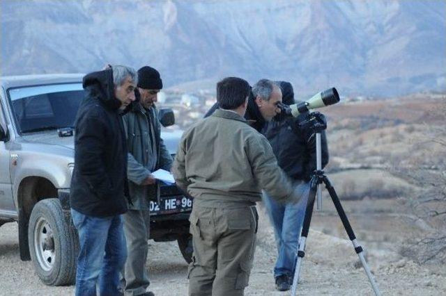 Adıyaman&rsquo;da Yaban Ke&ccedil;isi Sayısı Arttı 1