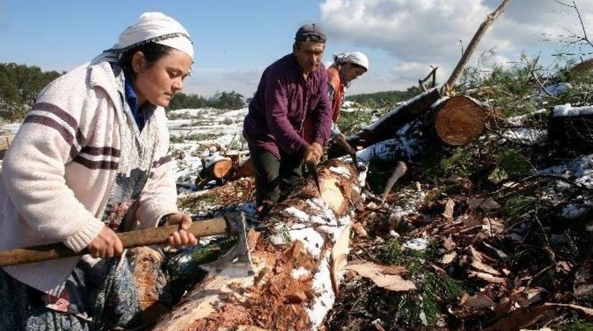 Orman K&ouml;yl&uuml;s&uuml;ne 85 Milyon Lira Destek