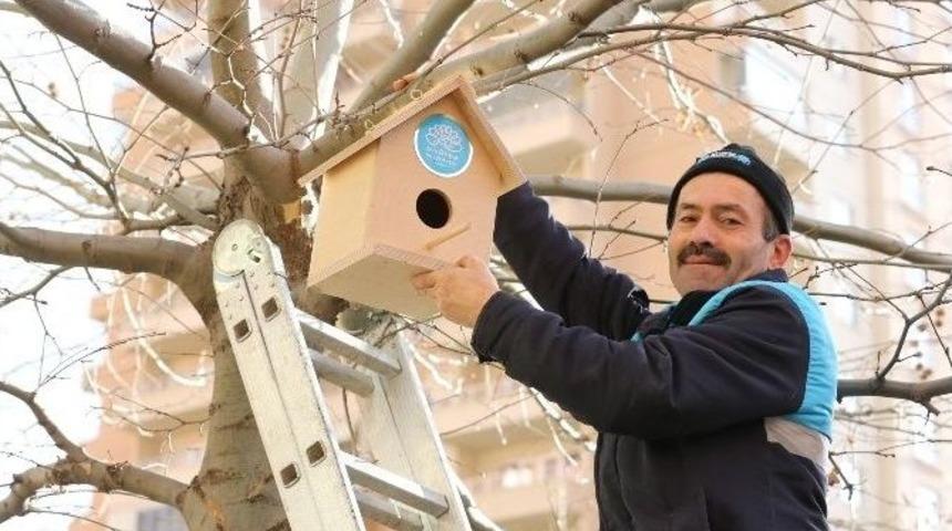 Kuşlara Soğuk Havada Sıcak Yuva