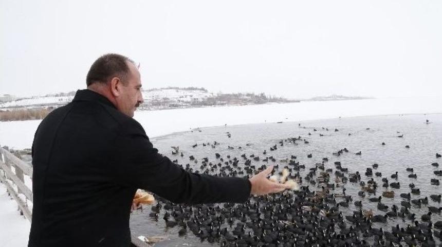 Başkan Duruay A&ccedil; Kalan Kuşları Besledi