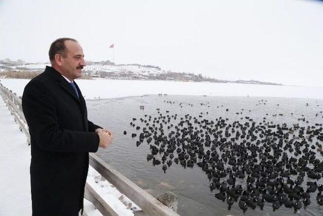 Başkan Duruay Aç Kalan Kuşları Besledi