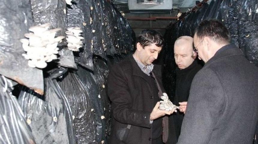 Ekonomik Yatırım Tesislerinde İnceleme