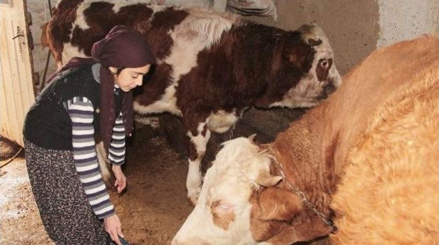 &Ccedil;emişgezekli Ayşenur T&uuml;rkiye 3&rsquo;&uuml;nc&uuml;s&uuml; Oldu