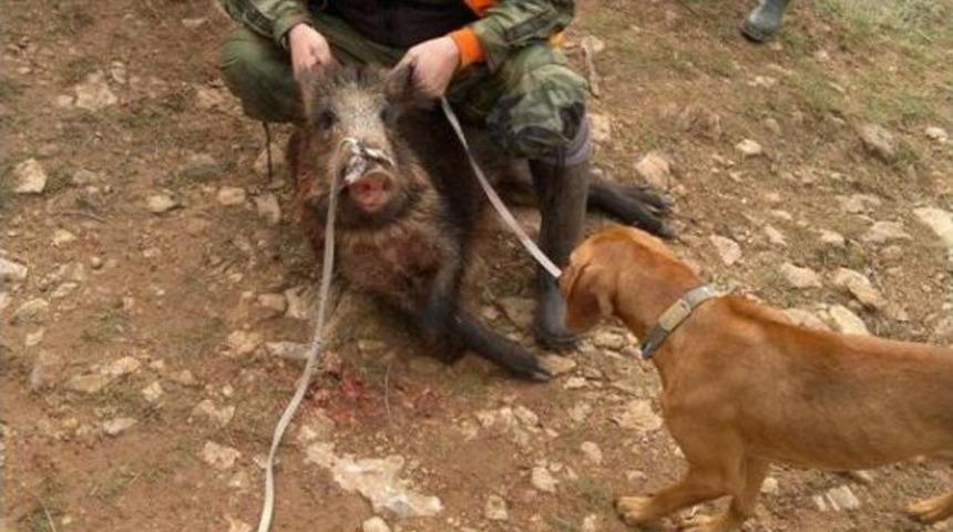 Domuz Avında Arkadaşını &Ouml;l&uuml;m&uuml;ne Neden Oldu, Cezası Ertelendi