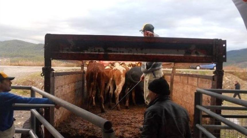 Dalaman Ve K&ouml;yceğiz&rsquo;de Gen&ccedil; &Ccedil;ift&ccedil;iler D&uuml;veleri İle Buluştu