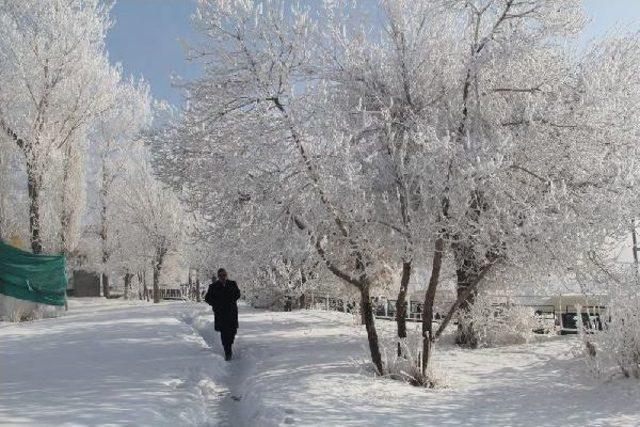 Başkale Buz Tuttu