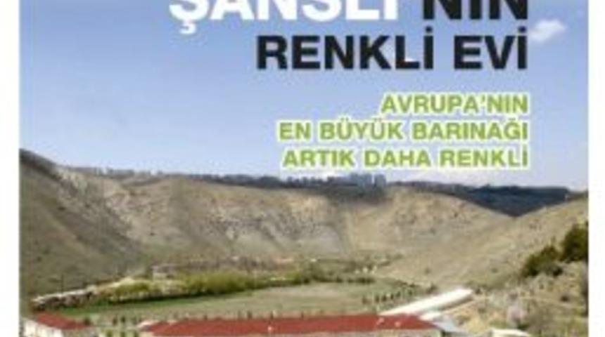 &Ccedil;ankaya Belediyesi Bin 473 Sokak Hayvanını Sahiplendirdi