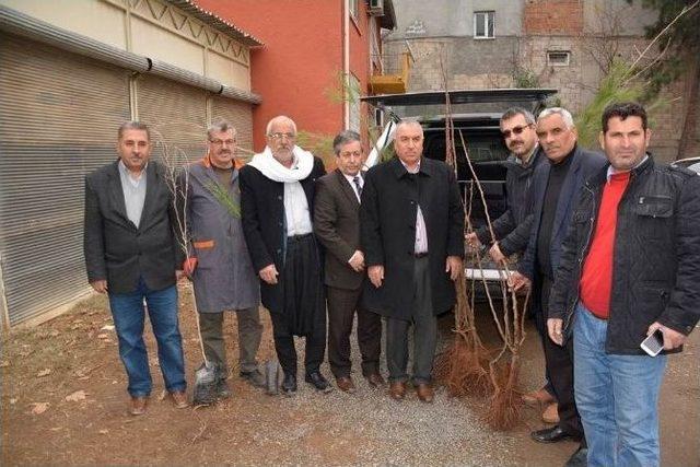 Viranşehir İlçe Tarım’dan Ücretsiz Fidan Dağıtımı