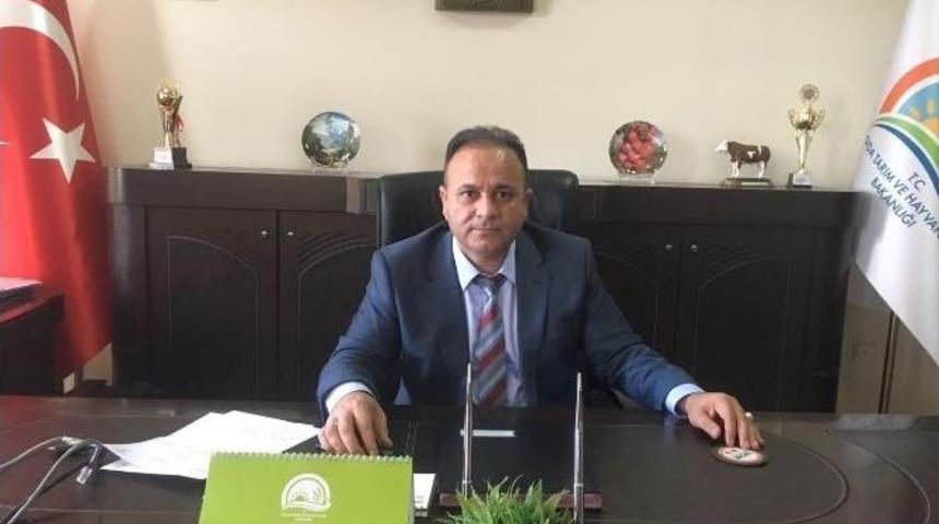 Sulama Sistemleri Kurulumunda Hibe Desteği