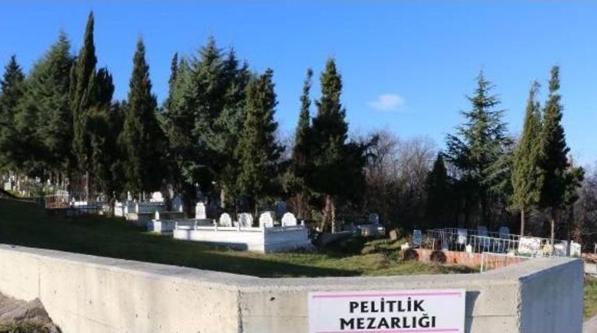 Orman Alanını 'ka&ccedil;ak Mezarlık' Yapıp Parsel Parsel Sattılar