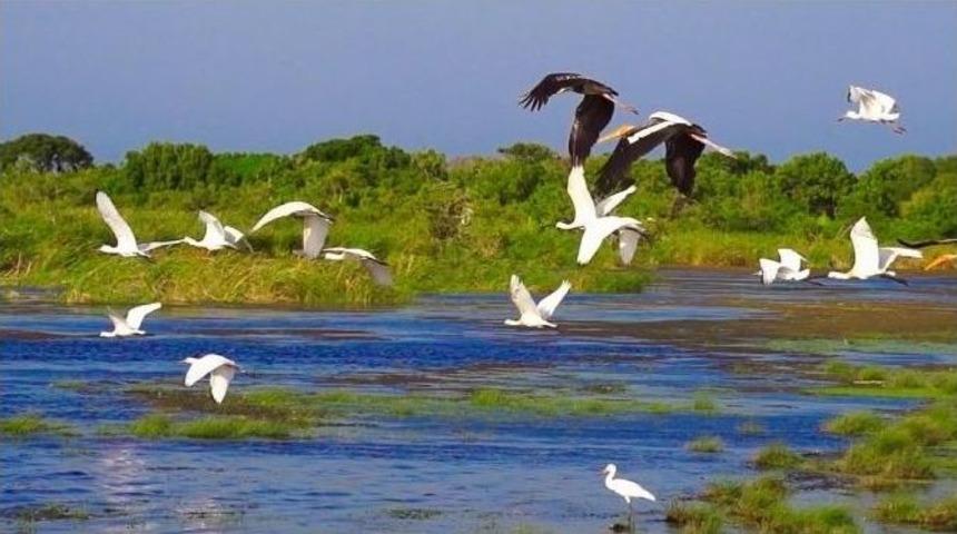 D&uuml;zce&rsquo;nin Tanıtımı İ&ccedil;in Suyu Takip Edin Edin Filmi &Ccedil;ekildi