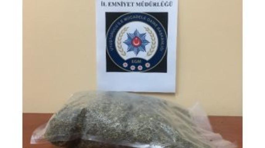 Ordu&rsquo;da Uyuşturucu Madde Operasyonları