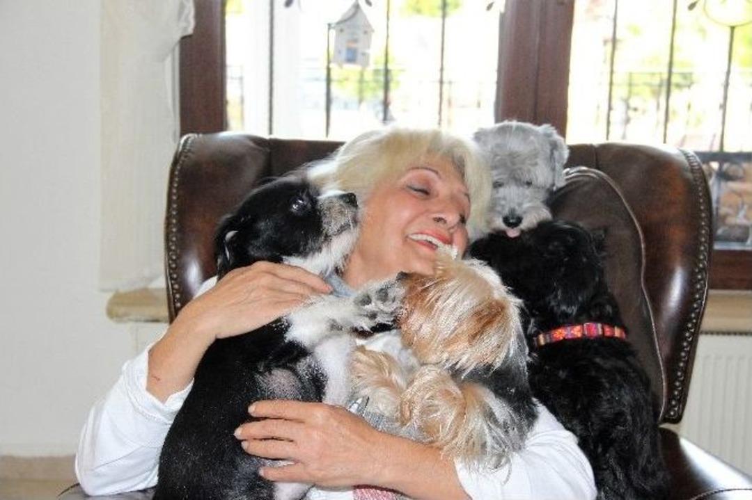 Sokakta Kalan &ldquo;golden &Ccedil;etesi&rdquo; L&uuml;ks Villaya Yerleşti