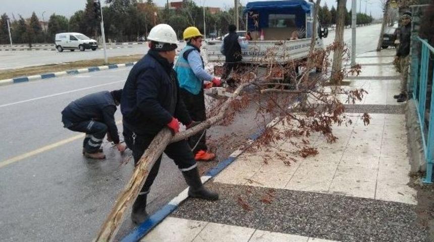 Yunusemre&rsquo;de Fırtına Alarmı