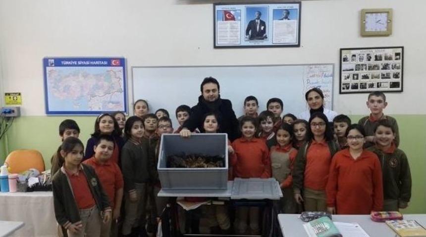 Kartal Belediyesi Solucan Gübresi Üretimine Devam Ediyor