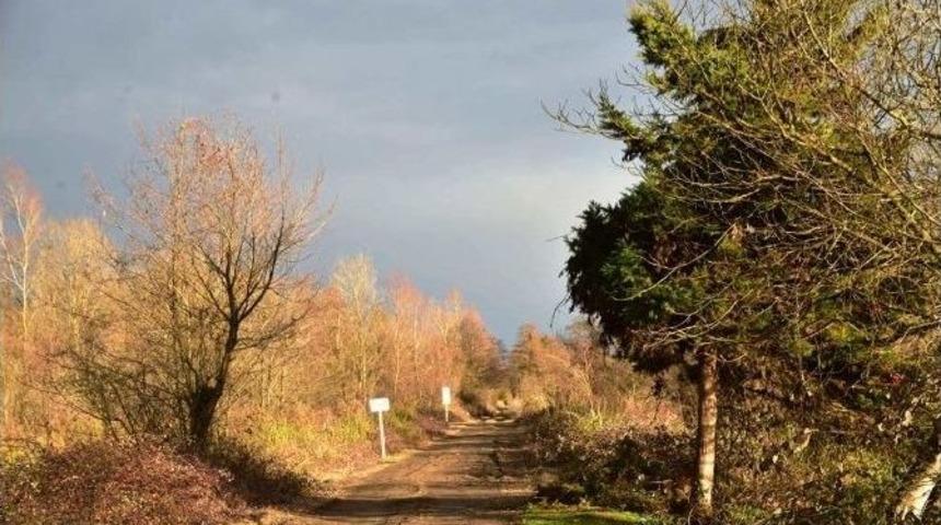 Amazon Tabiat Parkı D&uuml;nyaya A&ccedil;ılacak