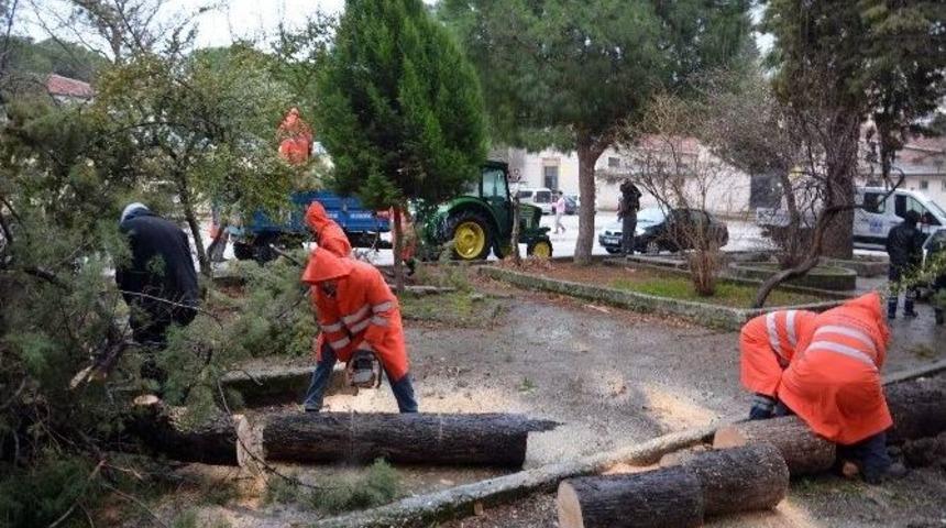 Lodosun Yaraları Sarılıyor, Ekipler Teyakkuzda