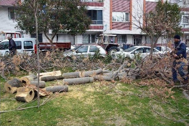 Lodosun Yaraları Sarılıyor, Ekipler Teyakkuzda