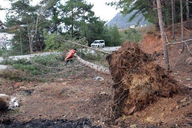 Lodosun Yaraları Sarılıyor, Ekipler Teyakkuzda