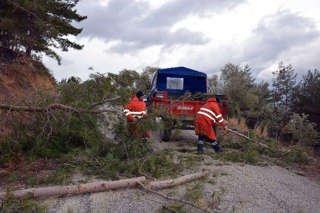 Lodosun Yaraları Sarılıyor, Ekipler Teyakkuzda