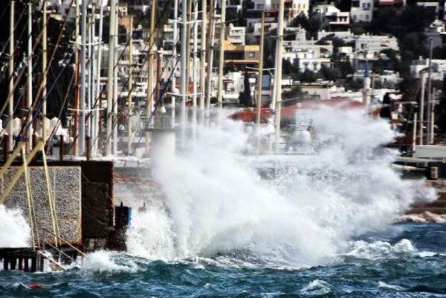 Bodrum'da Rüzgar Hayatı Olumsuz Etkiledi