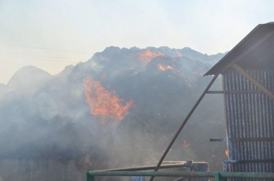 Tonlarca Saman K&uuml;l Oldu