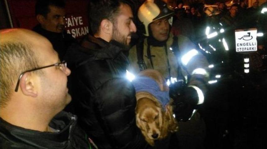 Alevlerin Arasındaki K&ouml;peği İtfaiye Kurtardı