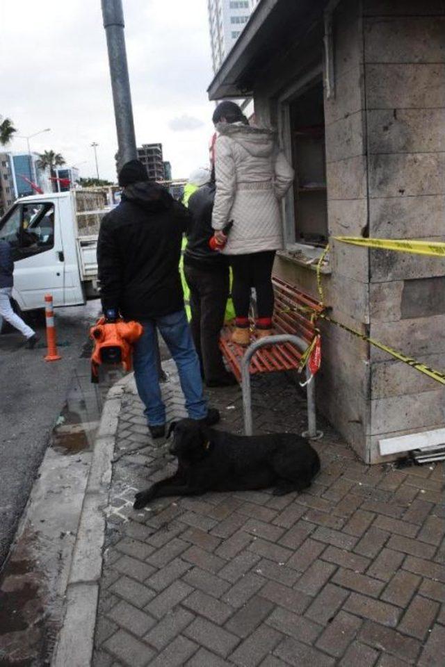 Şehit Polisin Beslediği Köpek Kulübenin Önünden Ayrılmadı